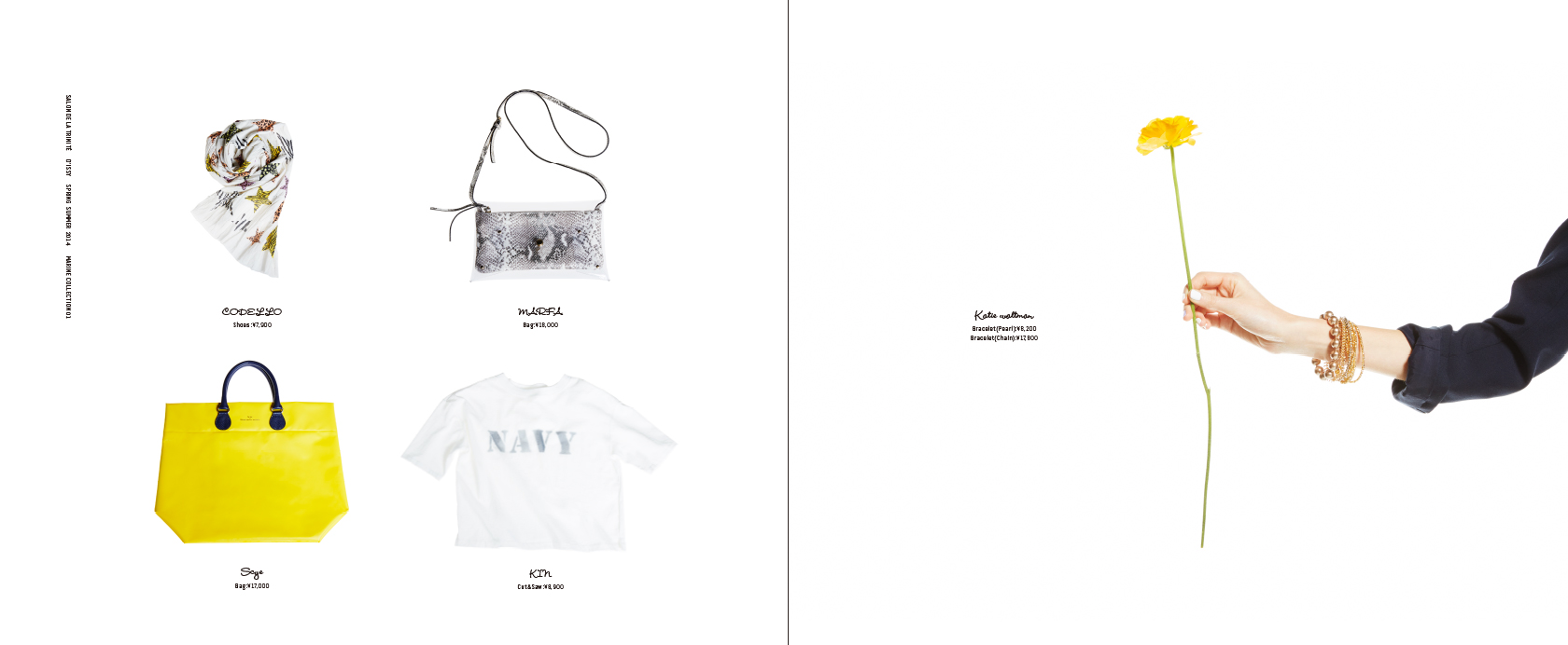 Salon de Trinitè & D'issy 2014 SS